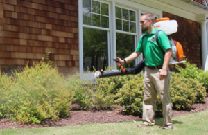 mosquito spray services in Mansfield 