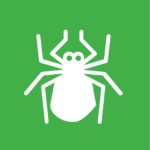 Vector image of a tick to symbolize our Mosquito Joe of Mansfield’s Tick Control Treatment