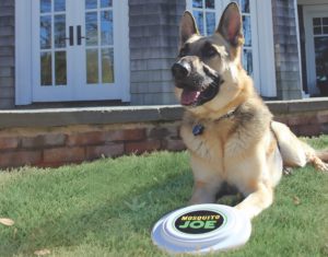 In a Kennedale, Texas backyard, a happy dog has bite-free fun playing fetch with a Mosquito Joe frisbee.